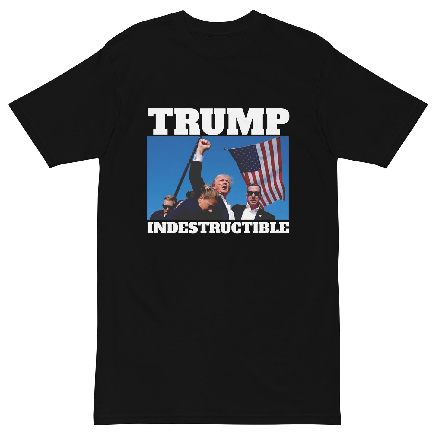 INDESTRUCTIBLE - Men’s Premium Heavyweight Tee