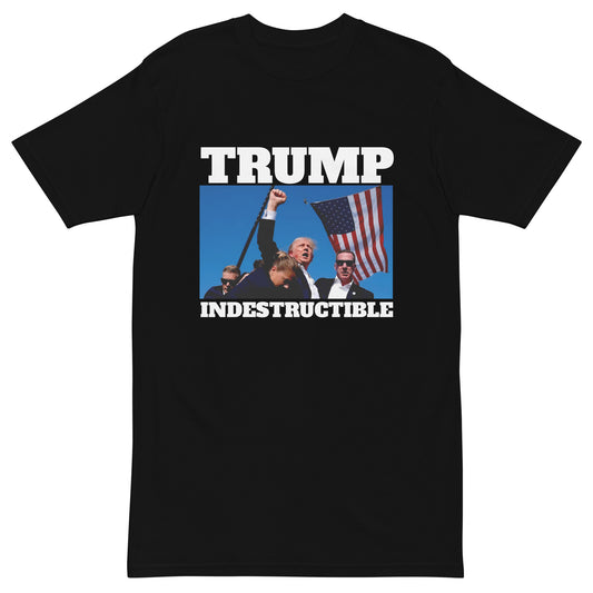 INDESTRUCTIBLE - Men’s Premium Heavyweight Tee