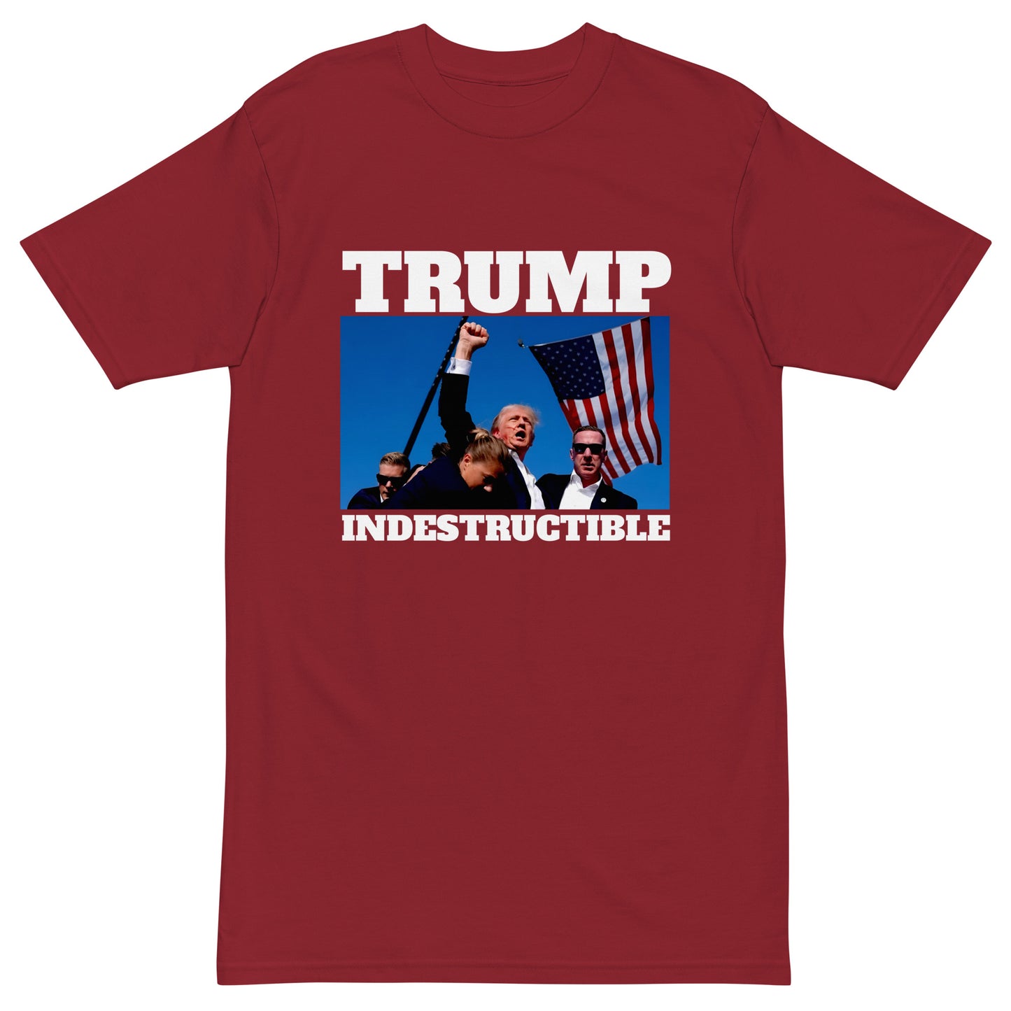 INDESTRUCTIBLE - Men’s Premium Heavyweight Tee